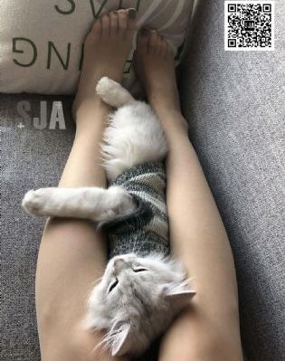 黑料在线观看