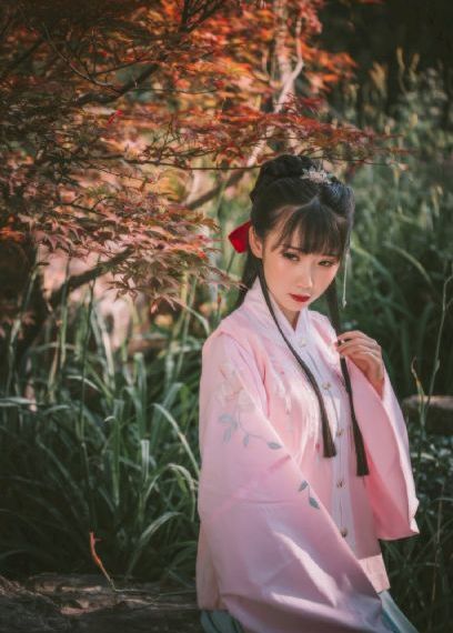 如懿传电视剧免费观看