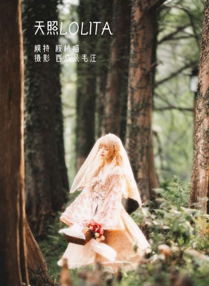 剩女的代价电视剧完整版免费观看